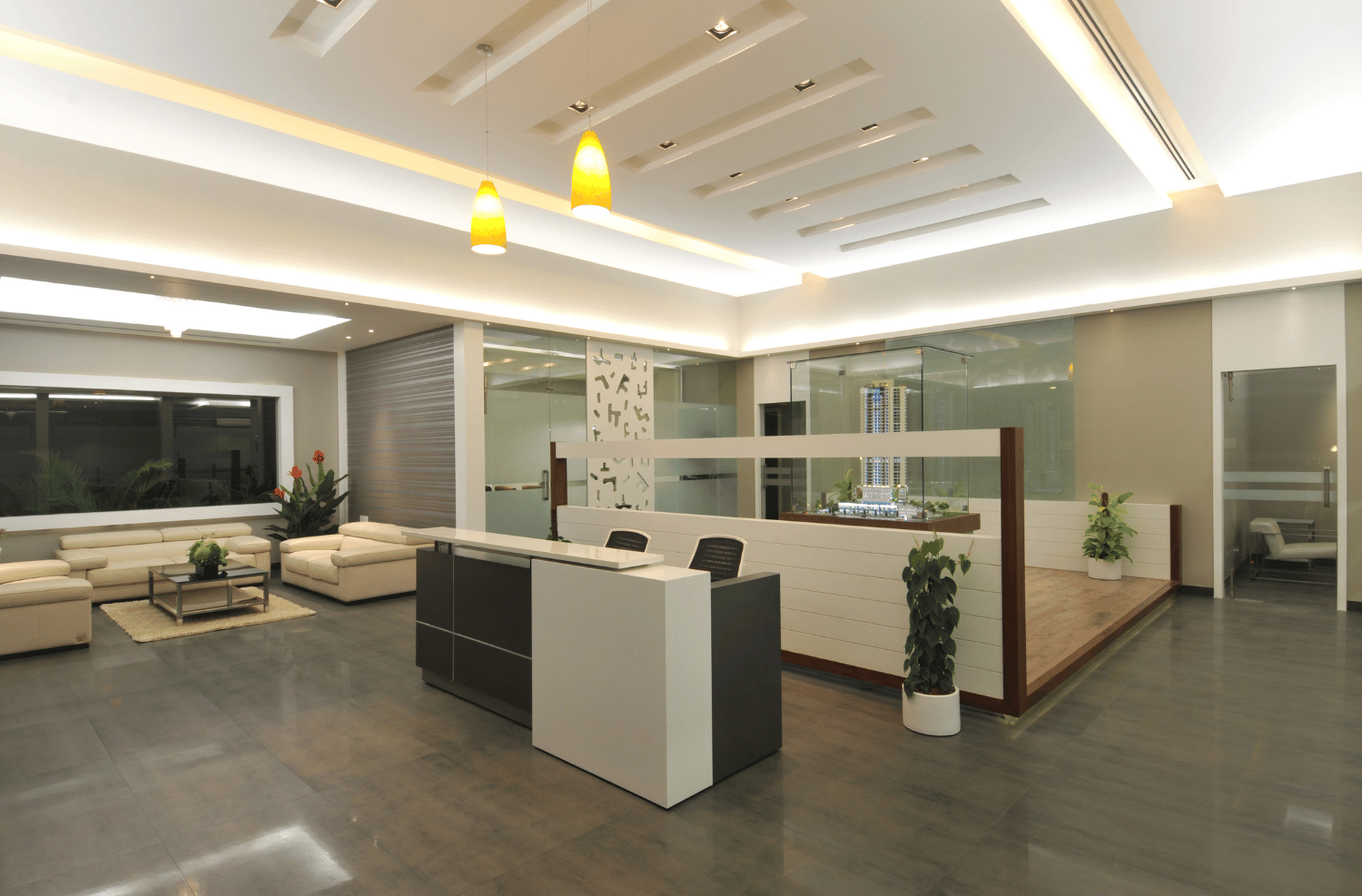 Ambrosia gallery 3